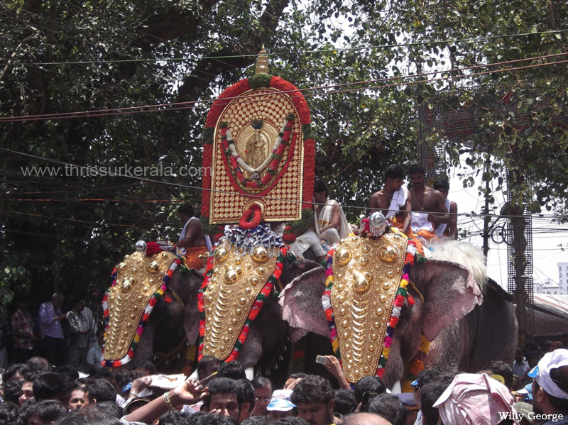 thrissur-pooram-2013-11 (11)